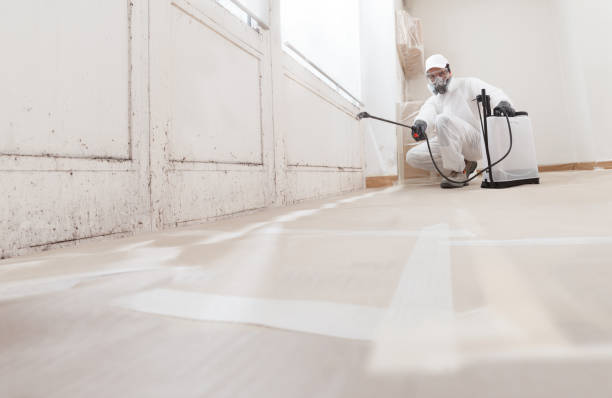 24/7 Emergency Mold Cleanup experts in Grand Prairie, TX