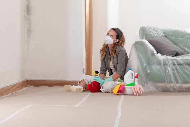 Reliable Mold Cleanup contractor in Grand Prairie, TX by Cheap Mold Removal